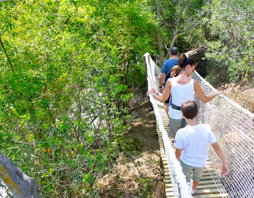 Fun and adventure at Selwo nature park. ©Selwo Adventure Fun and adventure at Selwo nature park. ©Selwo Adventure