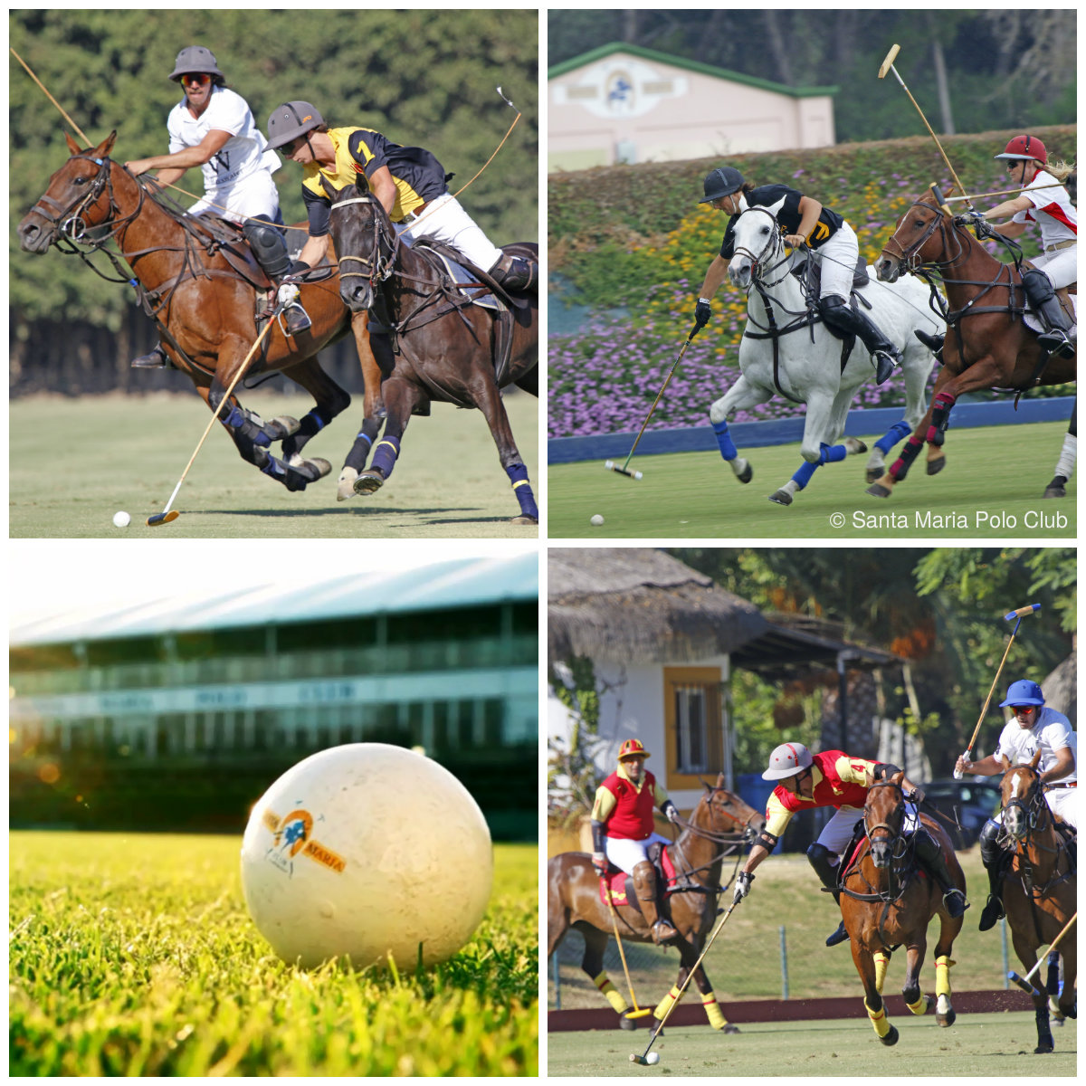 Polo in Sotogrande. © Santa Maria Polo Club