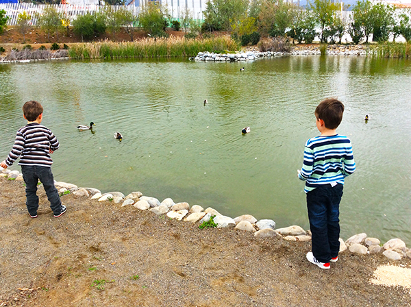 Los Tres Jardines | Lagoon ©Marianne Hill Los Tres Jardines | Lagoon ©Marianne Hill
