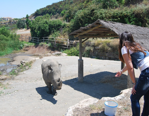 Fun and adventure at Selwo nature park. © Fun and adventure at Selwo nature park. ©