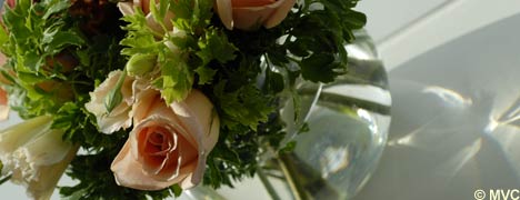 A study at Harvard claims that flowers in the home are mood enhancing.