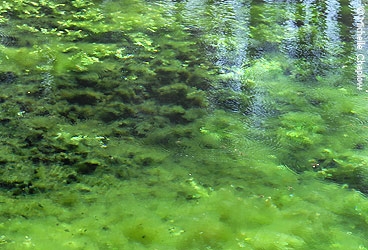 Alfacar © Michelle Chaplow