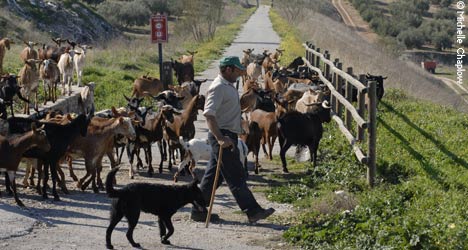 Via verde of the Sierra Subbetica