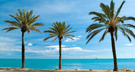 Das Leben ist ein Strand in Andalusien.