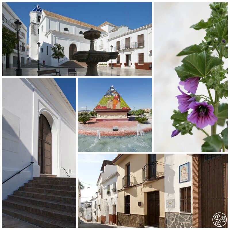 Alhaurin el Grande © Michelle Chaplow