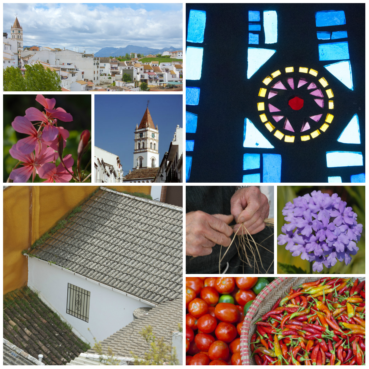 San Juan de Letran church stands proud over Arriate © Michelle Chaplow