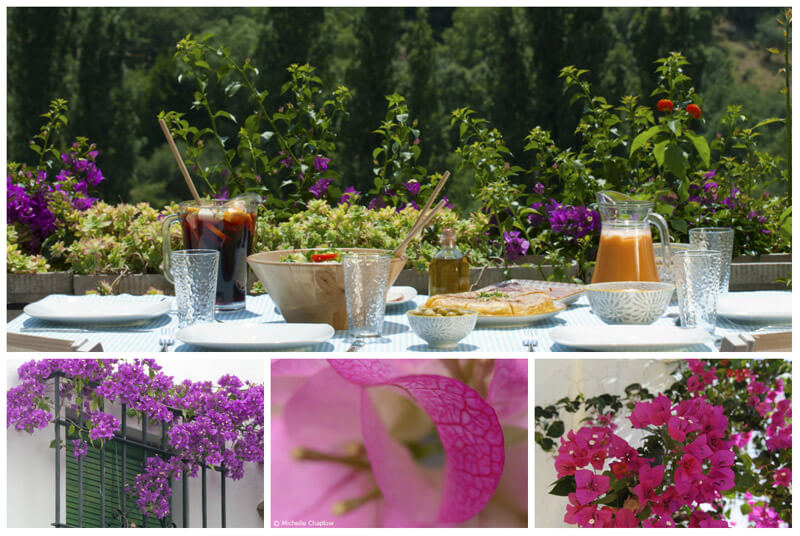 Think Spain, think Bougainvilleas © Michelle Chaplow