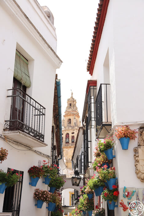 A view down Callejón de las Flores © Max Phythian