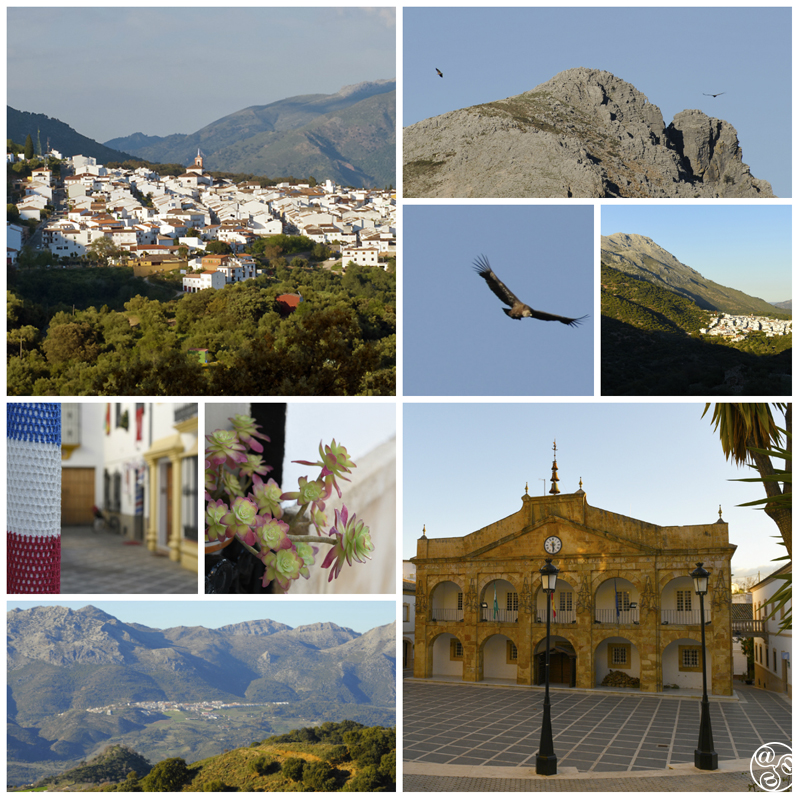 Cortes is in the heart of excellent walking country © Michelle Chaplow