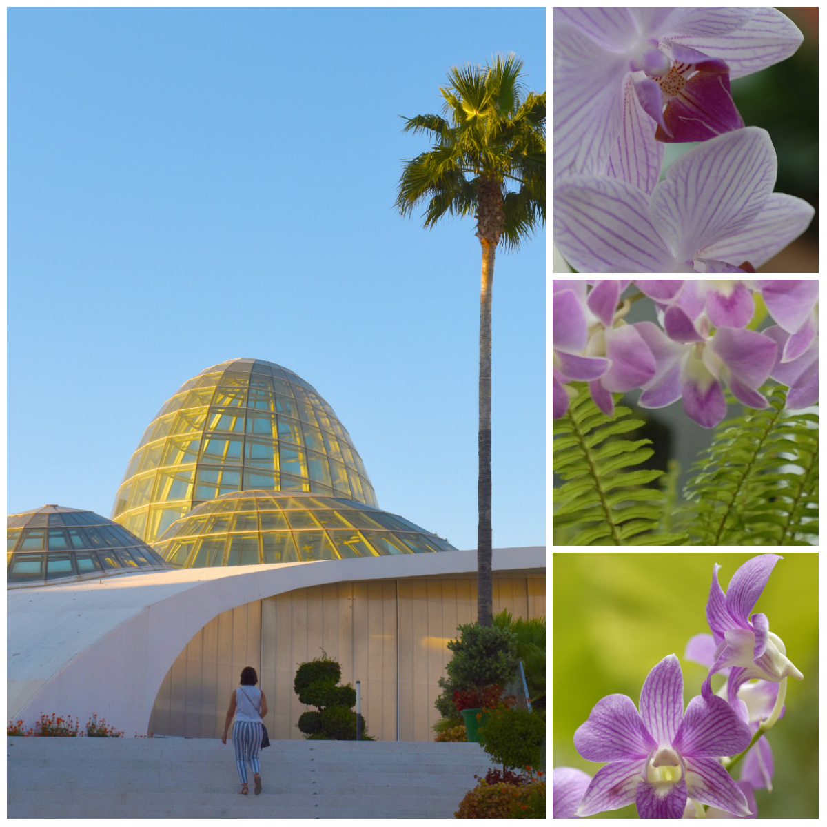 The Orchid House (Orquidario) &amp; Botanical Gardens in Estepona, Málaga. © Michelle Chaplow