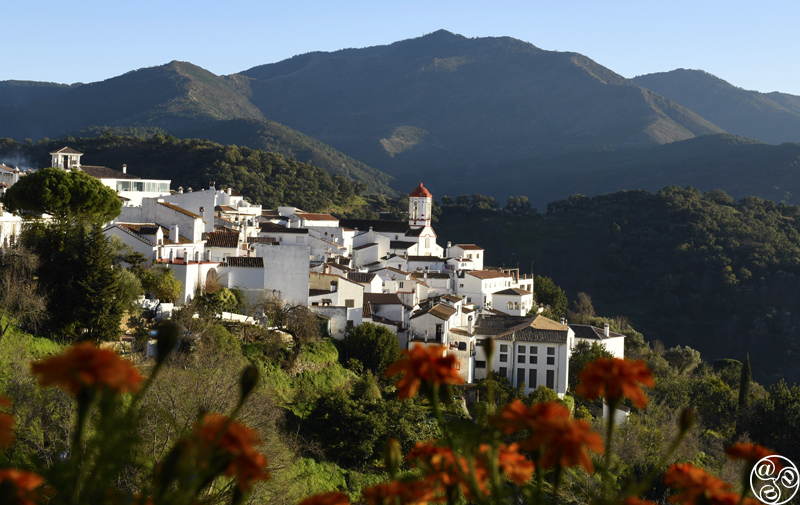 Surround yourself with nature in Genalguacil © Michelle Chaplow