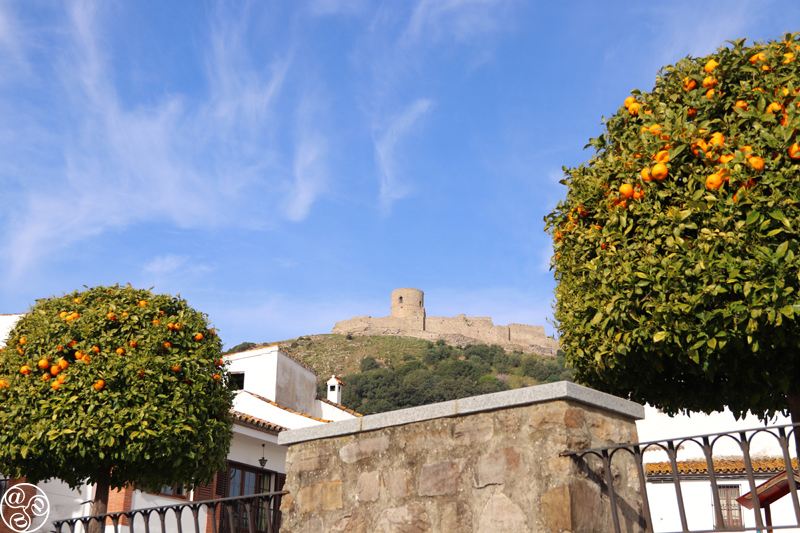 View of the castle of Jimena de la Frontera through orange trees