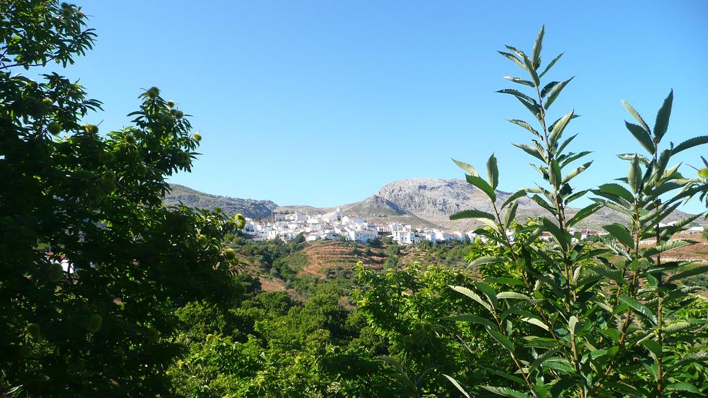 Hotel in the Serrania de Ronda (Los Castaños) © Booking.com
