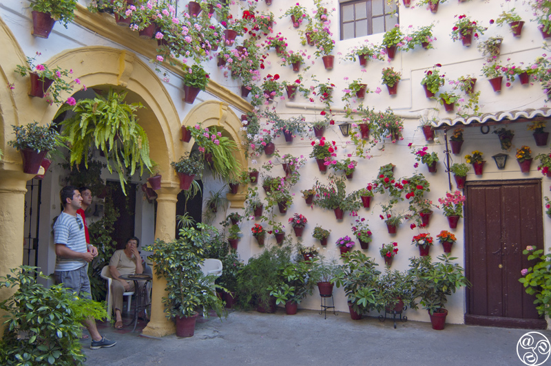 The magnificent Cordoba Patios© Michelle Chaplow