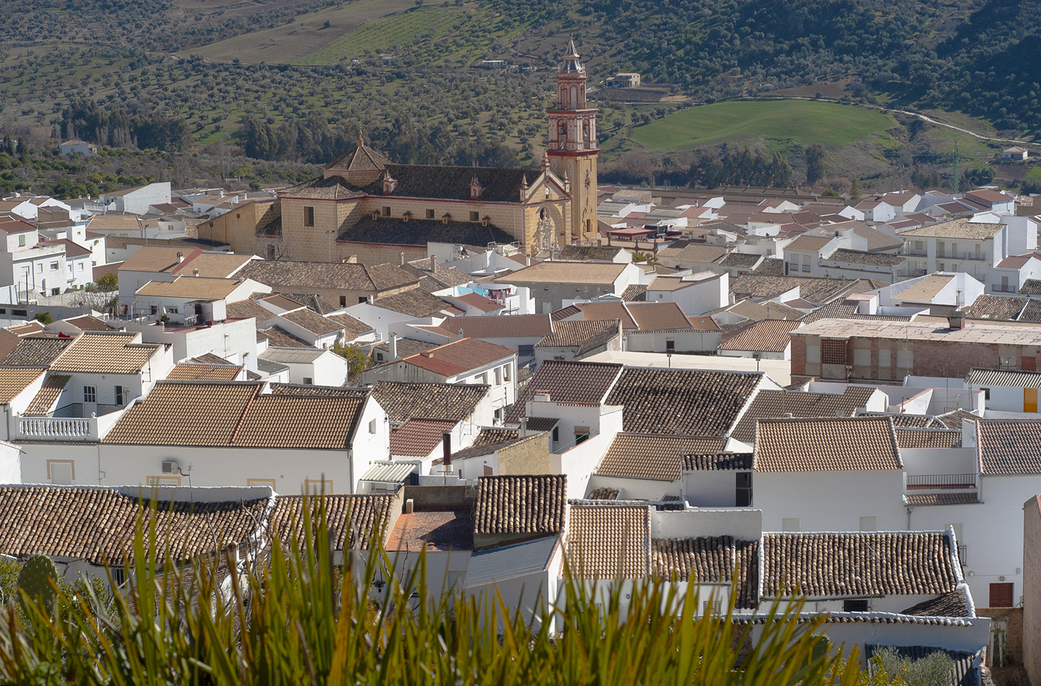 The terracotta roofs and majestic Church make Algodonales a &quot; picture postcard&quot; scene. © Michelle Chaplow