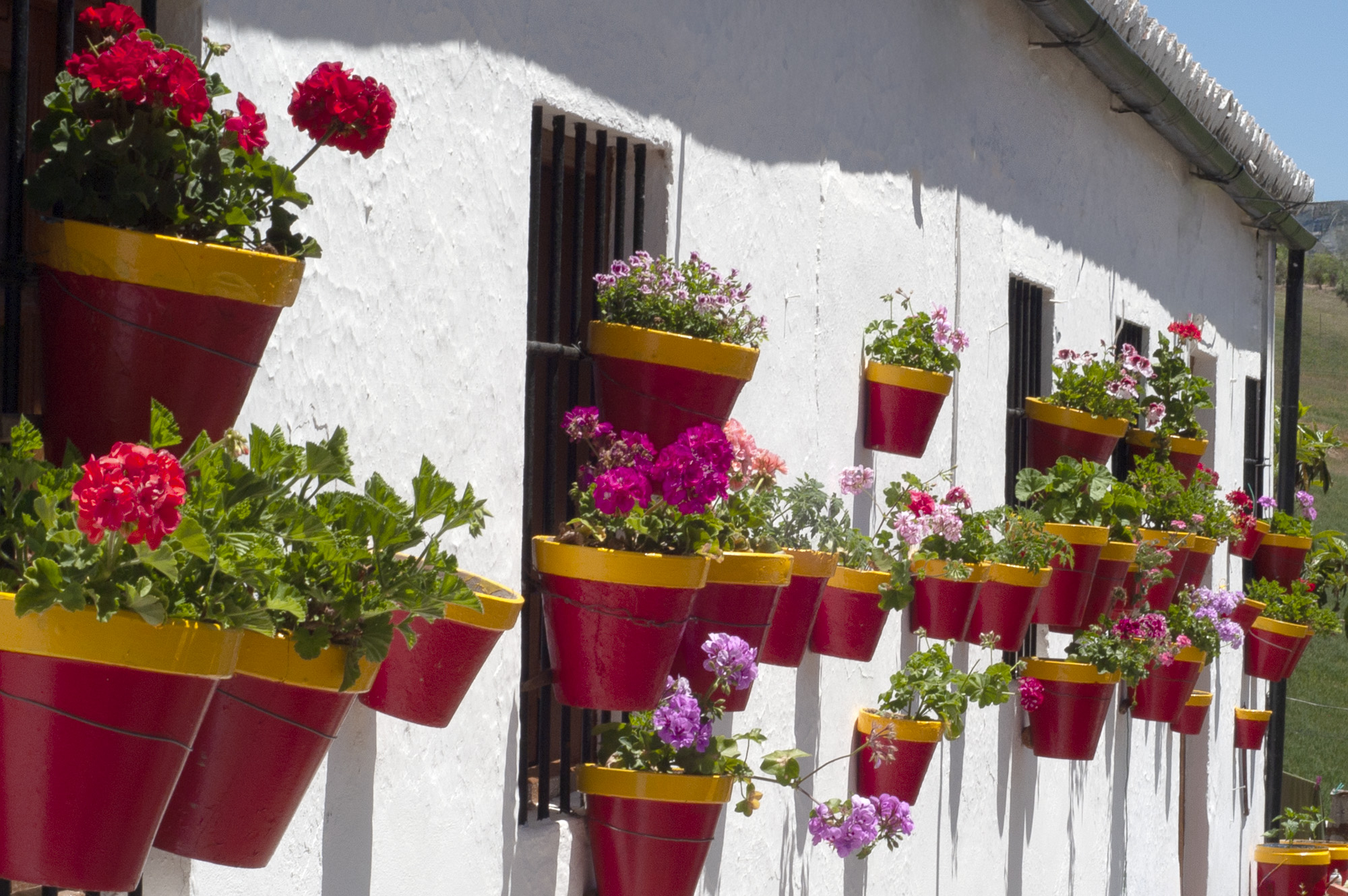 There are charming apartments and town houses to rent in Ronda © Michelle Chaplow