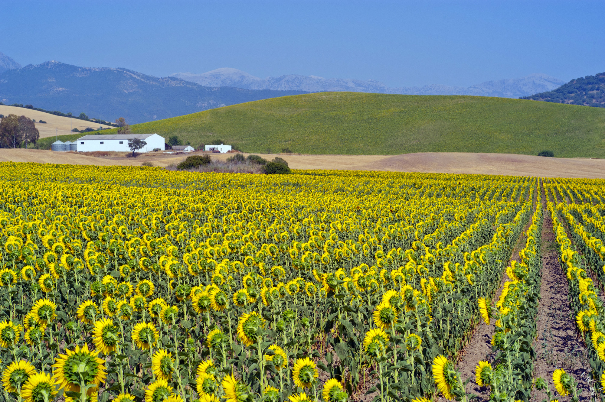 More and more people are mindful of the environment and sustainable tourism © Michelle Chaplow