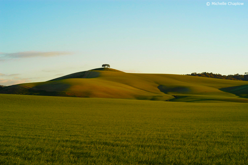 The fertile plains, near Arcos de La Frontera, Cadiz. © Michelle Chaplow
