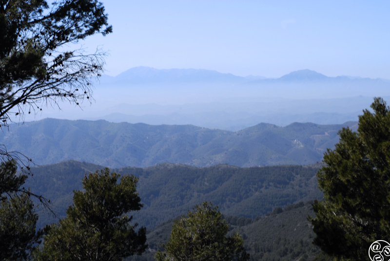 There are five signposted walks in the park Montes de Malaga