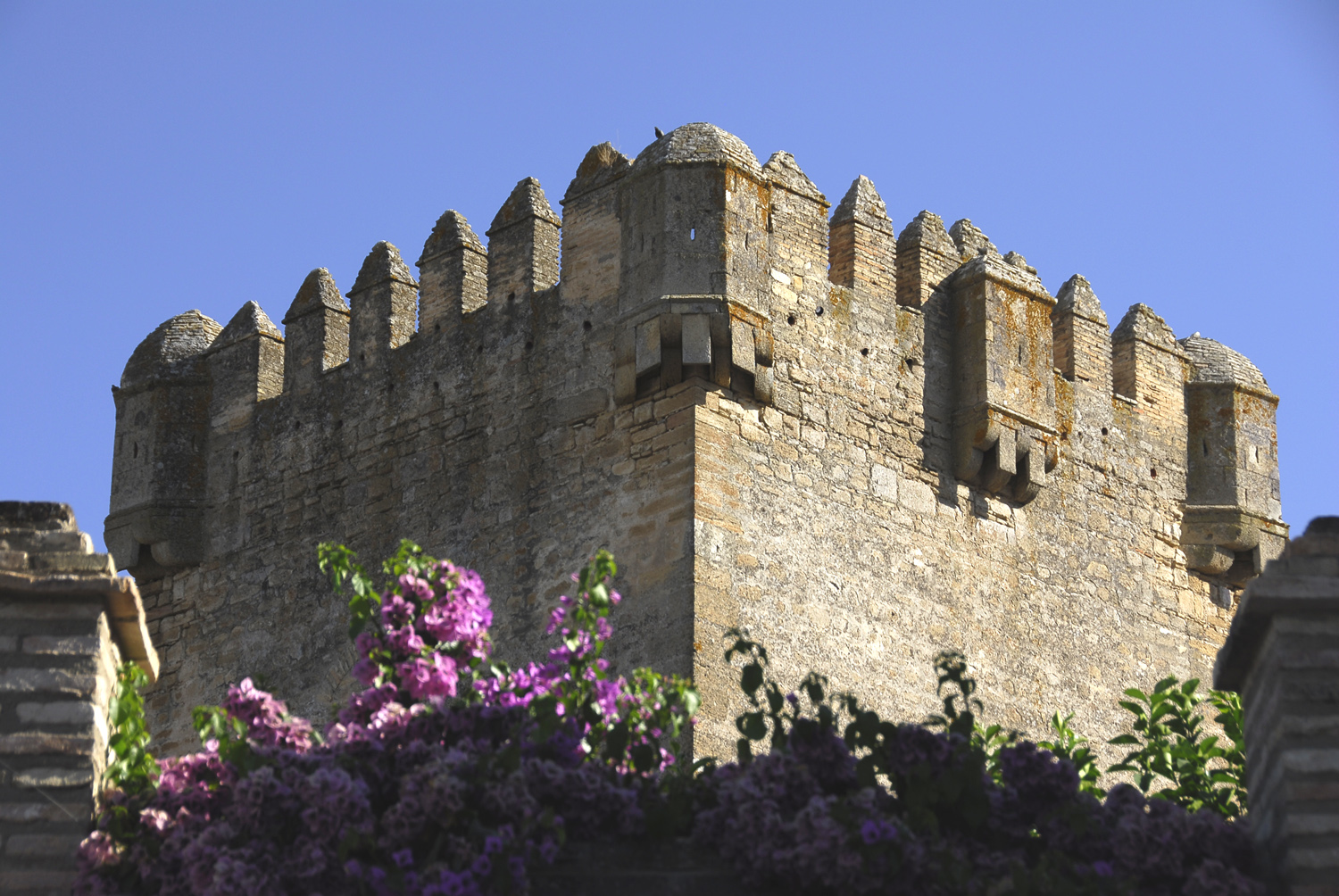 Castillo de Montemayor, Cordoba province © Michelle Chaplow