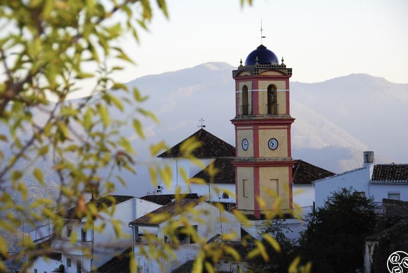 Algatocin © Michelle Chaplow