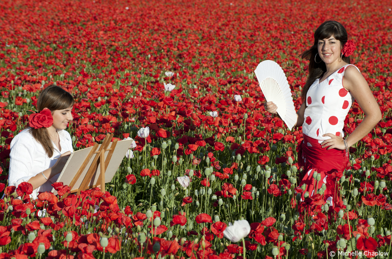 Painters and photographers have long commented on the marvelous clear light