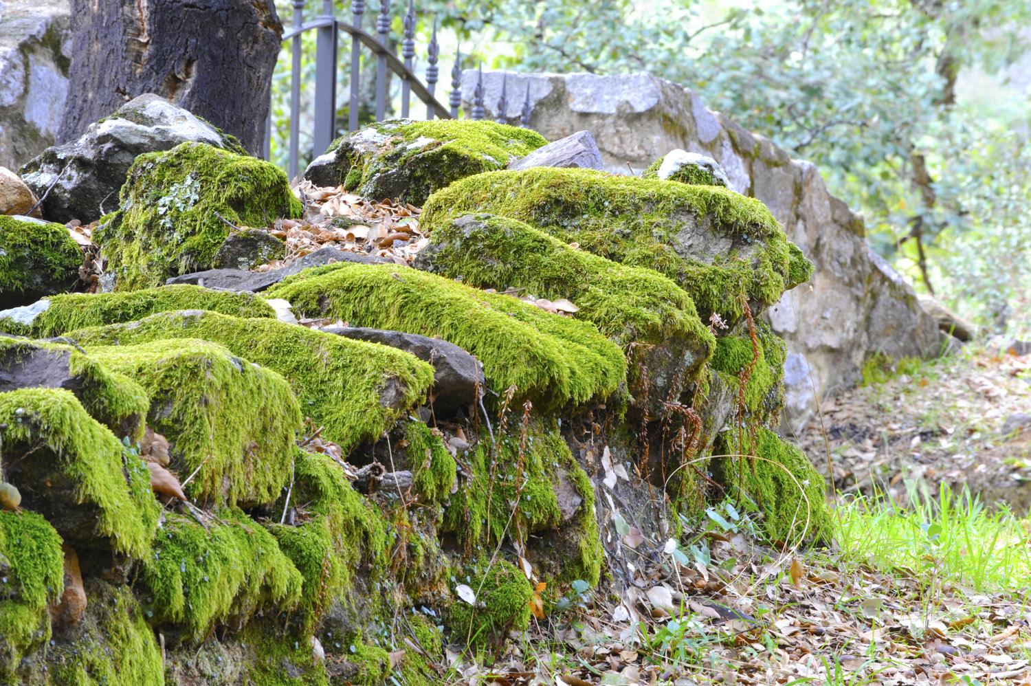 The Sierra de Aracena and Picos de Aroche natural park © Michelle Chaplow