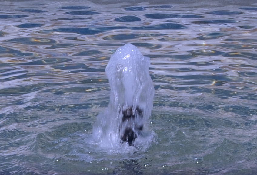 Water Desalination Plants in Andalucia. © Michelle Chaplow