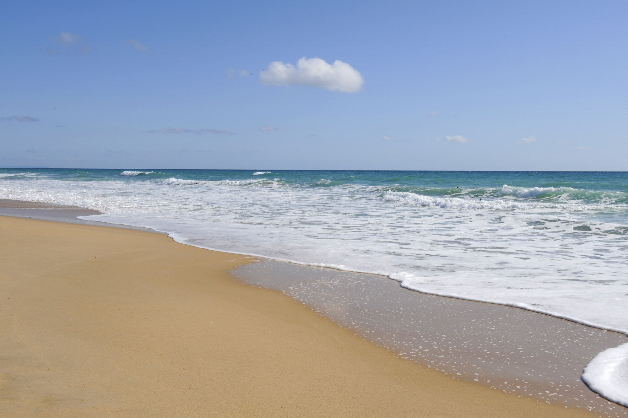 Just look at these idyllic golden sand beaches of El Palmar on the Costa de la Luz! © Michelle Chaplow