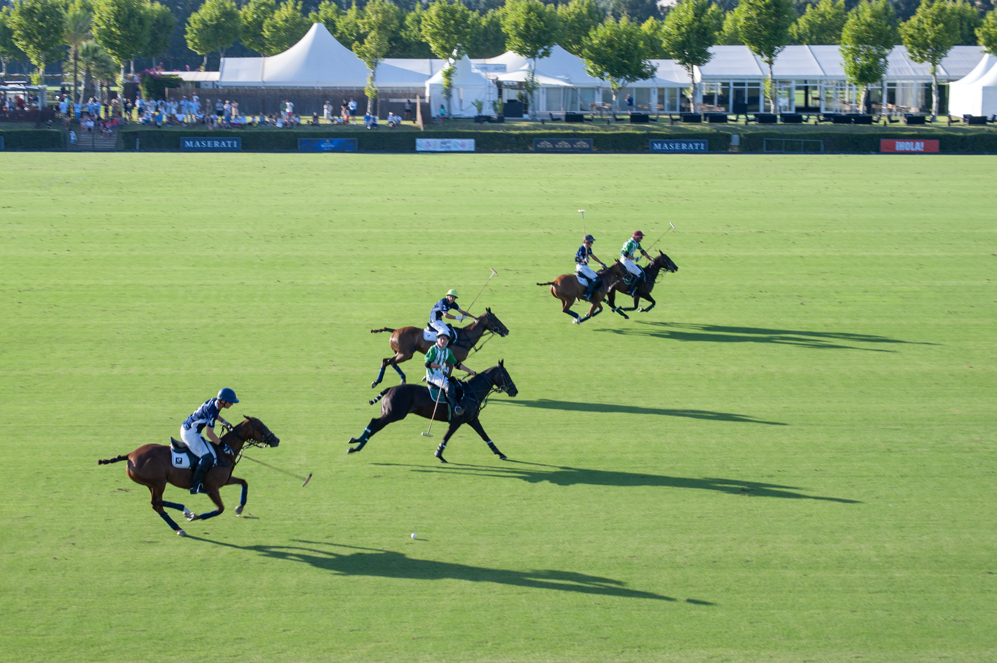 Polo, often dubbed the &quot;sport of kings,&quot; is a fast action, team game played on horseback  © Michelle Chaplow