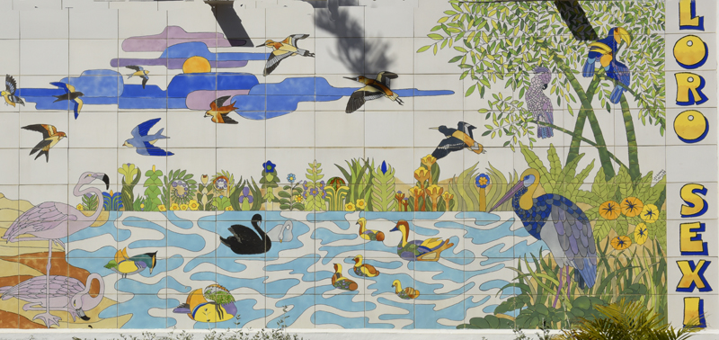 Lori Sexi parrots, cockatoos, toucans and ostriches