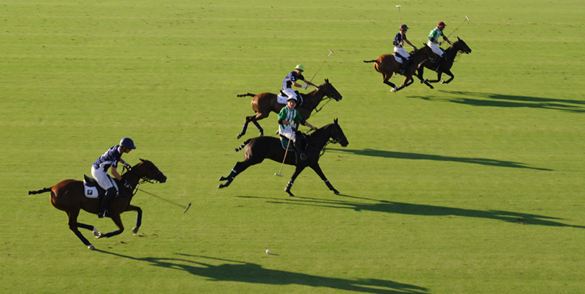 Polo at Los Pinos fields © Michelle Chaplow