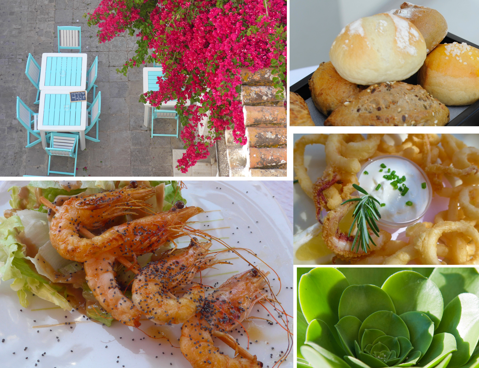 The delicious Tarifa food scene  © Michelle Chaplow