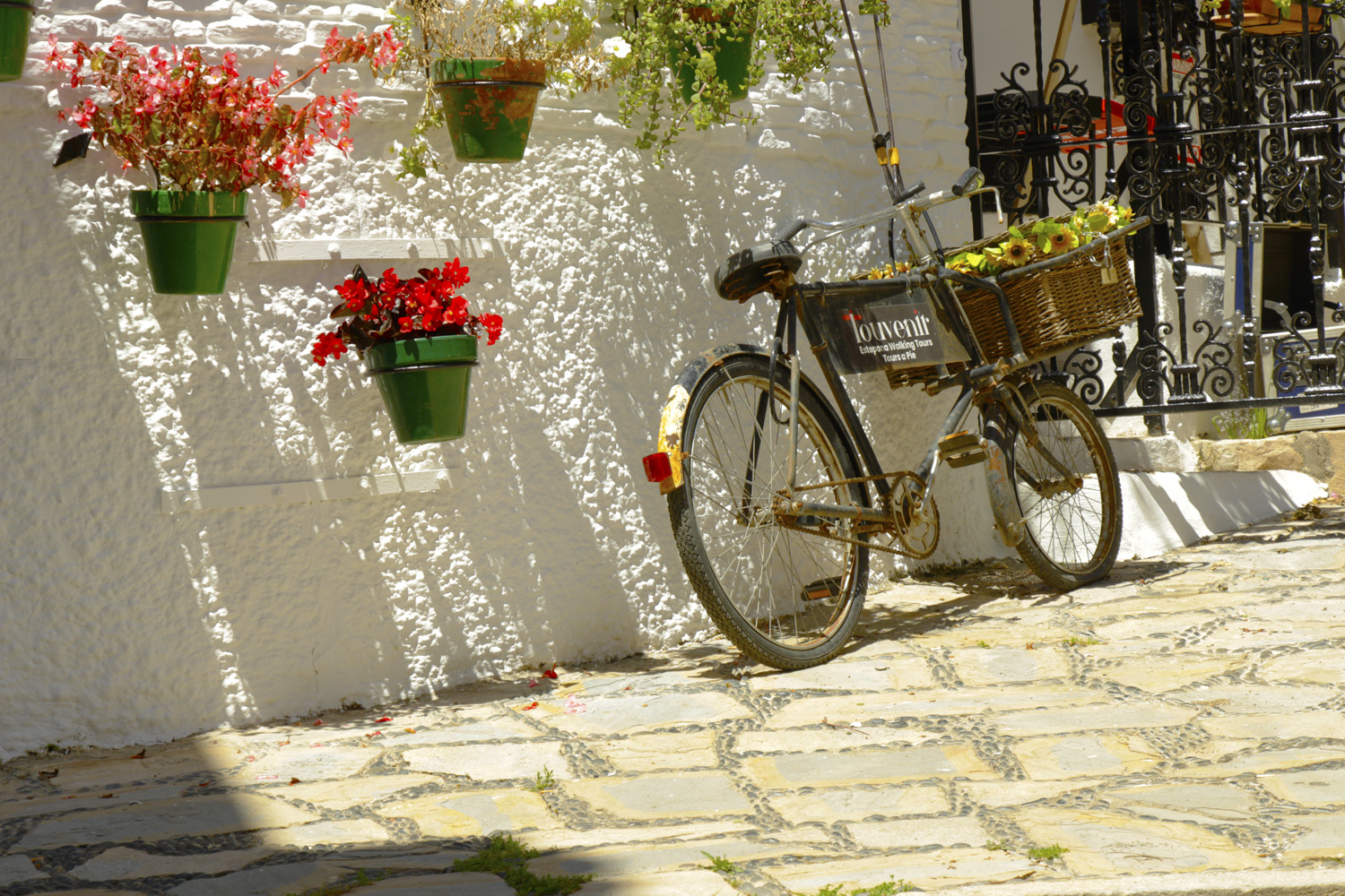 Excursions from Estepona © Gonzalo Alvarez