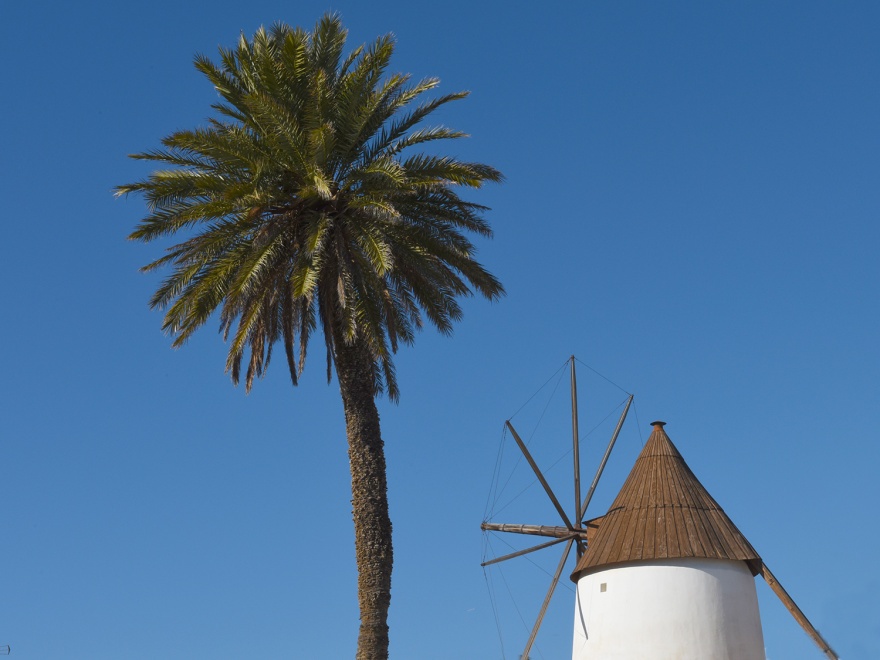 The historic windmill, in the white costal village of Las Negras © Michelle Chaplow