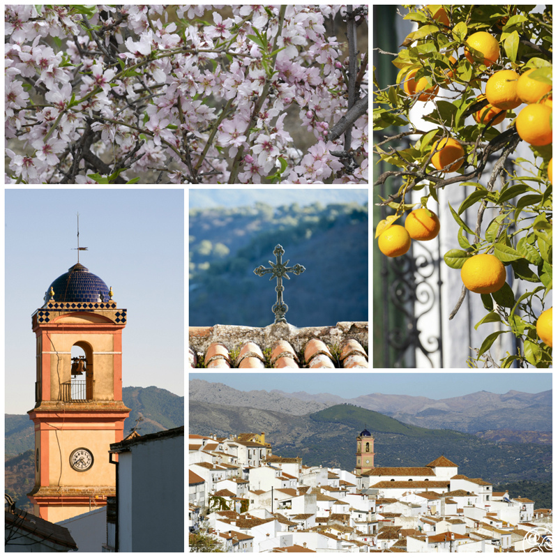 Small and very beautiful, the white village of Algatocin© Michelle Chaplow