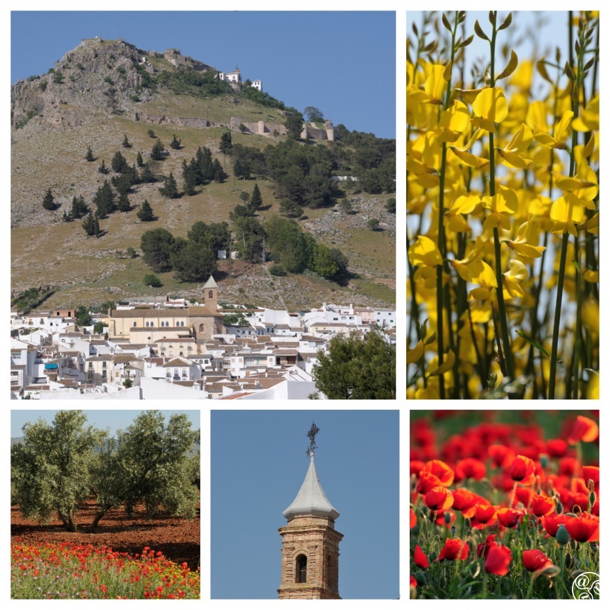Archidona nestled in the foothills of the Sierra de Gracia © Michelle Chaplow
