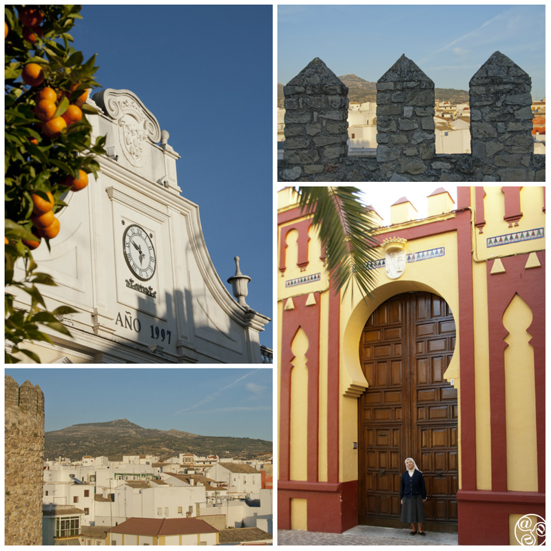 Cabra Cordoba © Michelle Chaplow