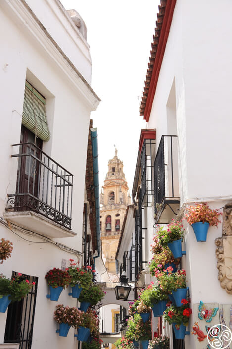 A view down Callejón de las Flores © Max Phythian