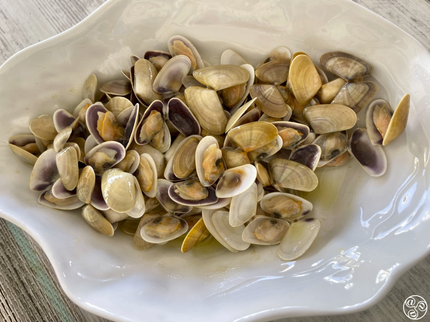 Fresh baby clams often known as coquinas here in Andalucia