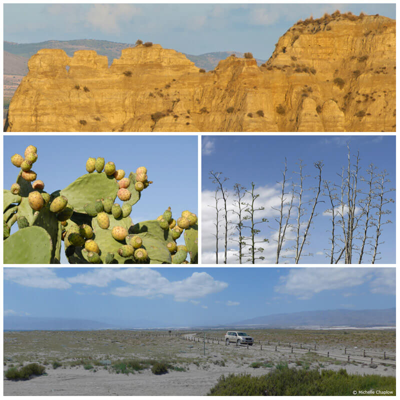 Deserts of Almeria and the mountains of Guadix, Granada. © Michelle Chaplow