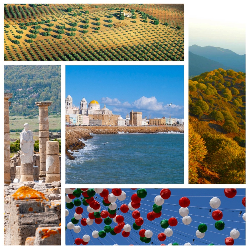 Did you know .... that the Romans played an important role in the history of Andalusia, that Sevillanas is not just flamenco, that here in Andalusia the chestnut groves look fabulous in autumn, that you can discover ancient towns and landscapes with over a million olive trees? © Michelle Chaplow