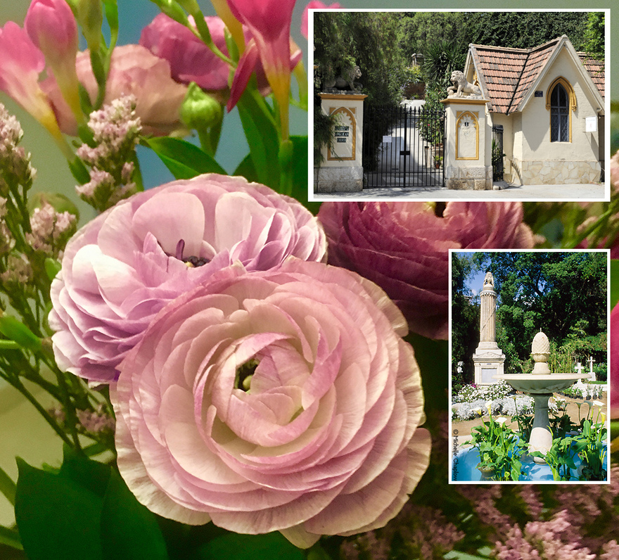 Malaga City - English Cemetery Today © Michelle Chaplow