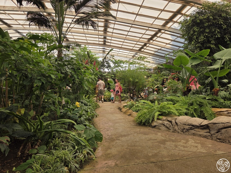 Benalmadena Butterfly Park © Mihnea Gamulescu