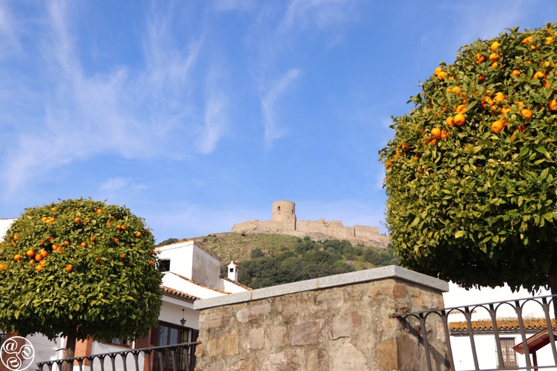 View of the castle of Jimena de la Frontera through orange trees