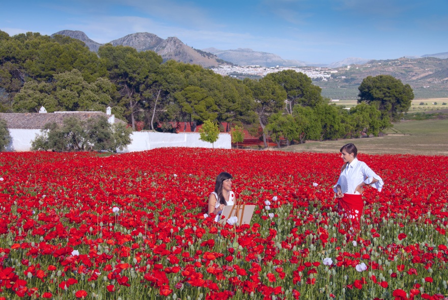 Spring in Andalucia 2024