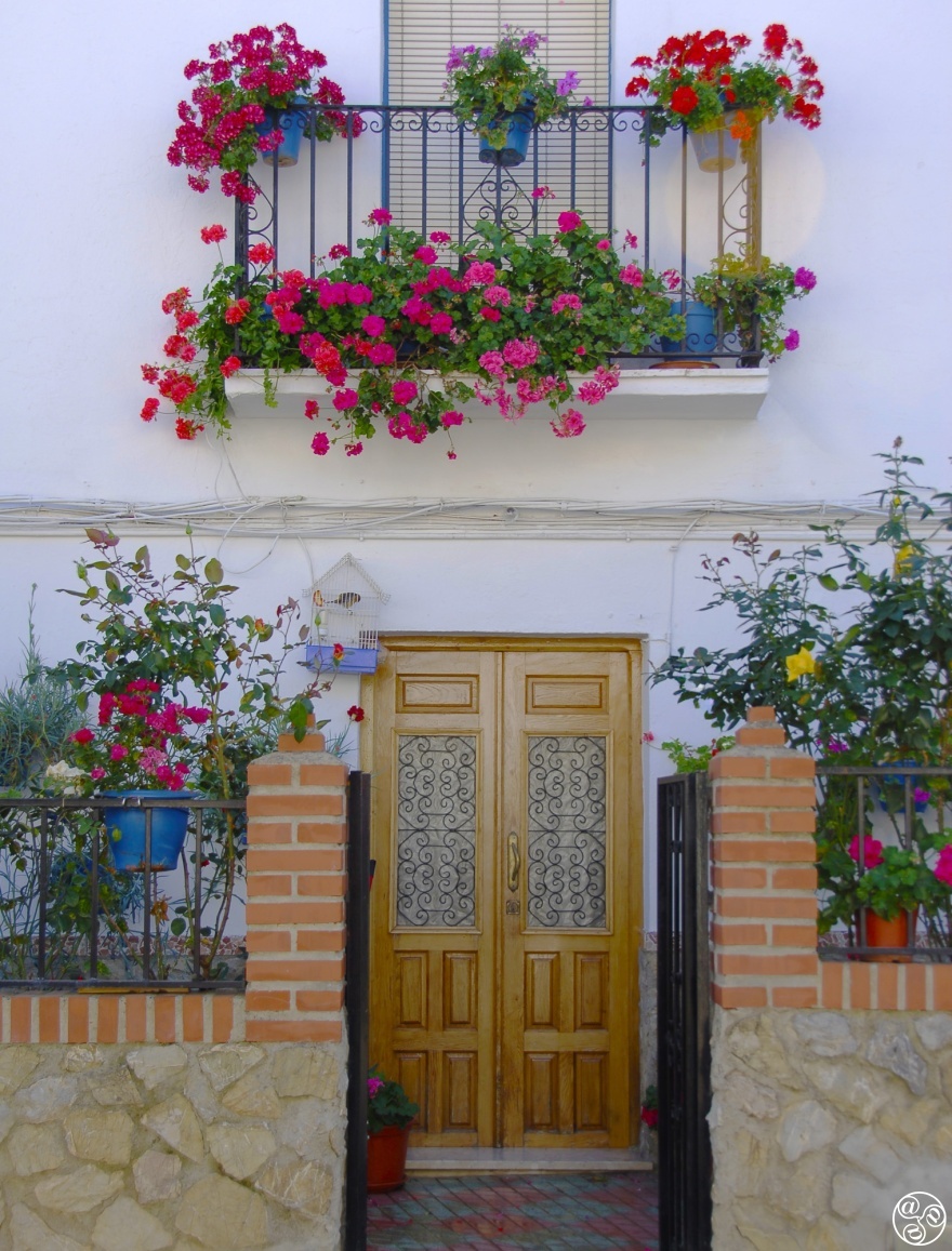 Doorway and flowers in Pujerra