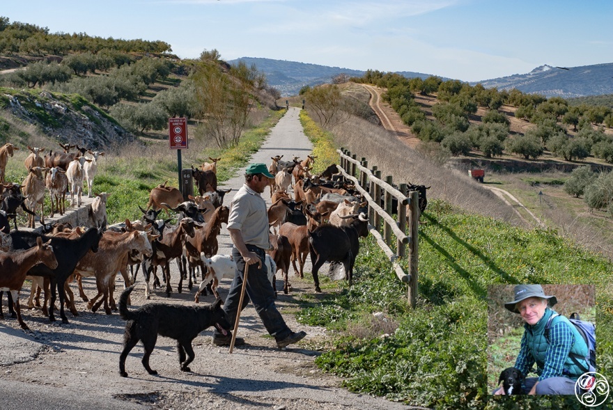 Walking in Andalucia by Guy Hunter Watts main photo @ Michelle Chaplow