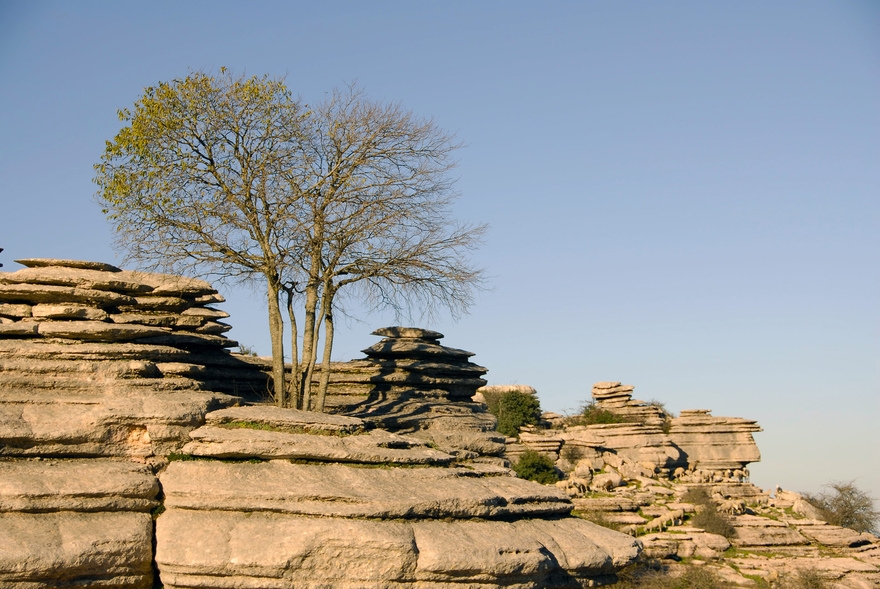 The fascinating shapes of El Torcal, created by erosion over millions of years © Michelle Chaplow