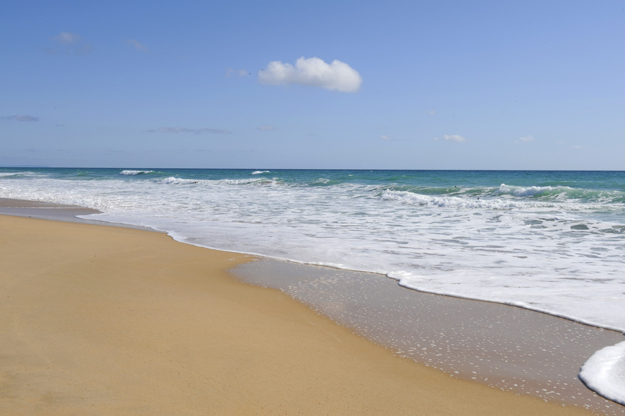 Just look at these idyllic golden sand beaches of El Palmar on the Costa de la Luz! © Michelle Chaplow